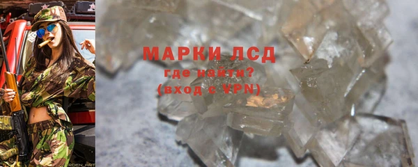 PSILOCYBIN Аркадак