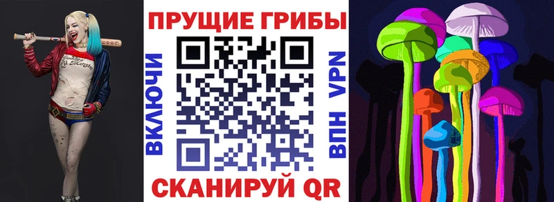 Галлюциногенные грибы Magic Shrooms купить цена Партизанск